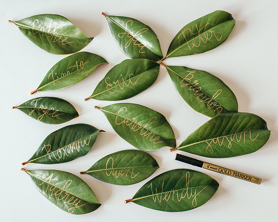 leaves-6491