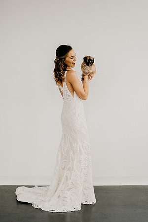veil-dogs-edited-0539