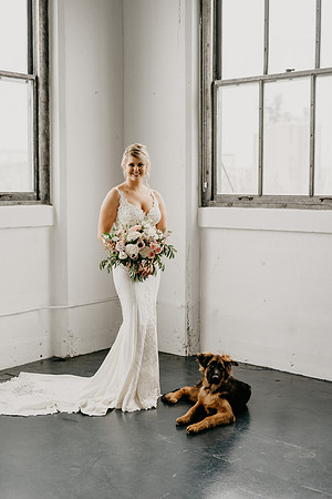 veil-dogs-edited-1305