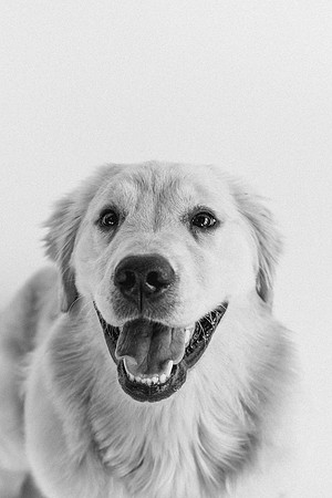 Lucy-0191-2