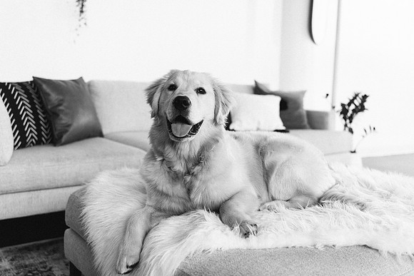 Lucy-0150-2