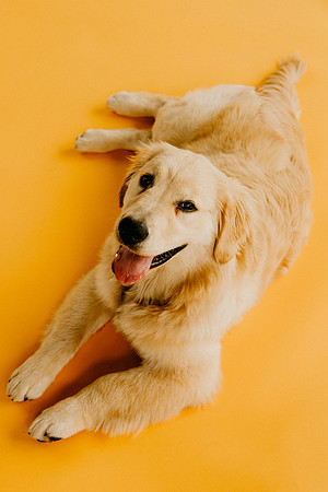 Lucy-0269-2