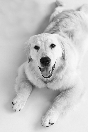 Lucy-0311-2