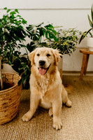 Lucy In-Studio Mini July 2022