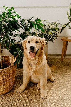 Lucy-0195