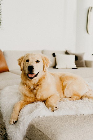 Lucy-0145-2