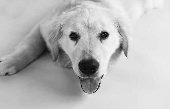 Lucy-0298-2