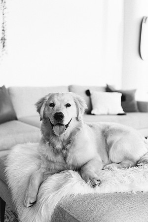 Lucy-0147-2