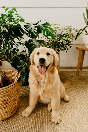 Lucy-0198