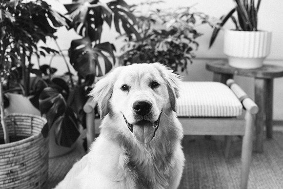 Lucy-0194-2