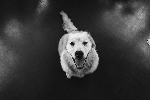 Lucy-0218