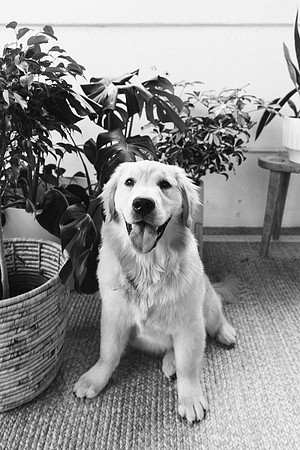 Lucy-0198-2