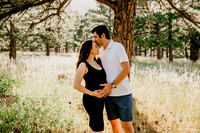 Joey Maternity July 2020 - Boulder, CO NCAR Laboratory