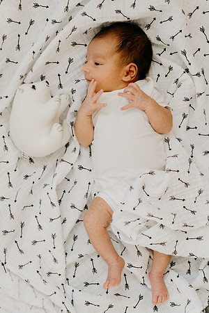 Harrison-8649