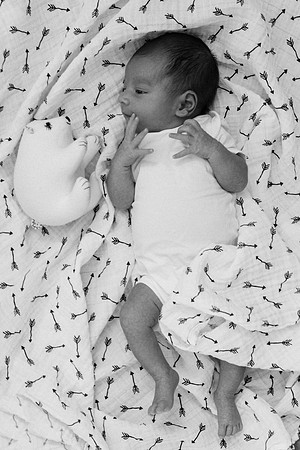 Harrison-8649-2