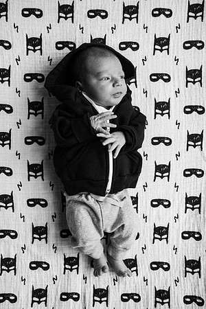 Harrison-8988-2