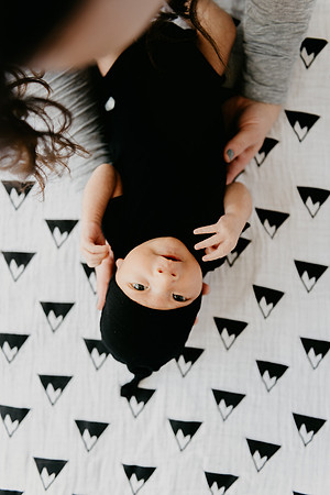 Harrison-8582