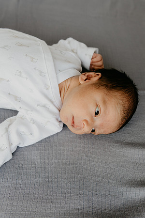 Harrison-8525