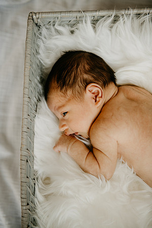 Harrison-9086-2
