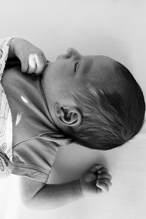 Harrison-8984-2