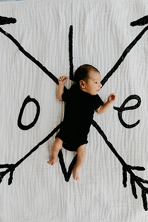 Harrison-8560
