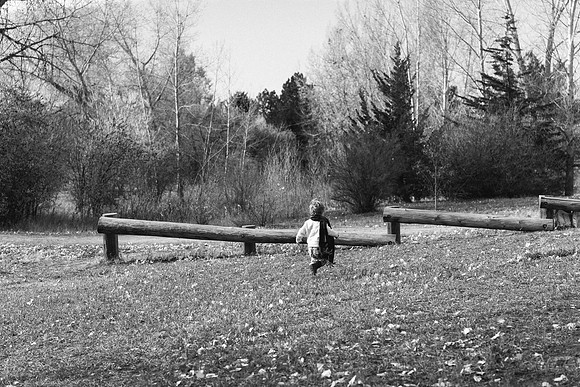 S-1954-2