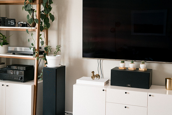 plants.com-2021-6169