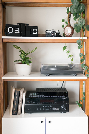 plants.com-2021-6163