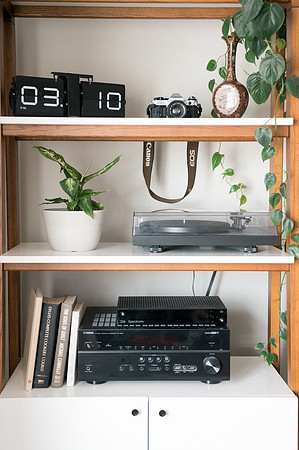 plants.com-2021-6162