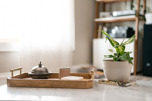 plants.com-2021-6156