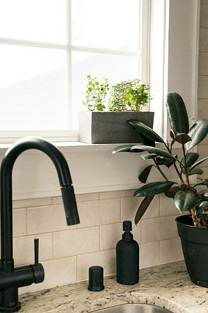 plants.com-2021-6141
