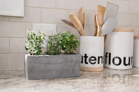 plants.com-2021-6134