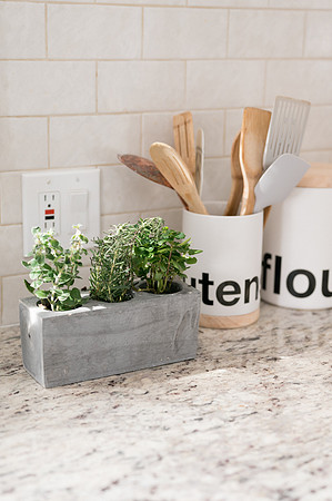 plants.com-2021-6135