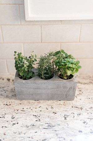 plants.com-2021-6129