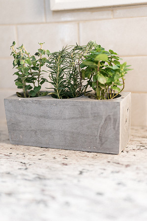 plants.com-2021-6131