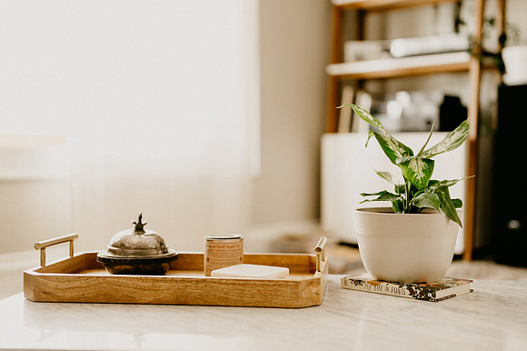 plants.com-2021-6156-2