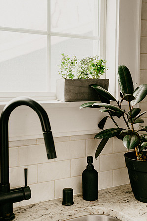 plants.com-2021-6141-2