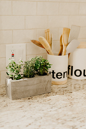 plants.com-2021-6135-2