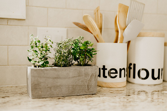 plants.com-2021-6134-2