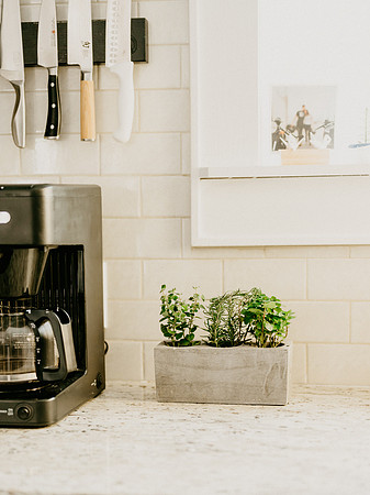 plants.com-2021-6133-2