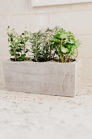 plants.com-2021-6131-2
