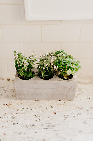plants.com-2021-6129-2