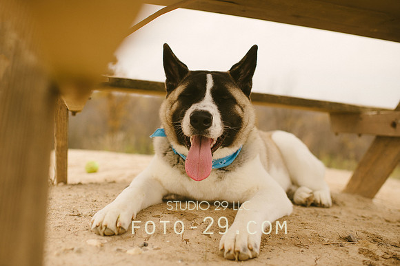 Oct_Kenzo-1130