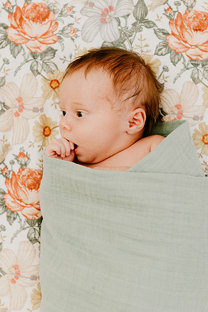 Evie-1437