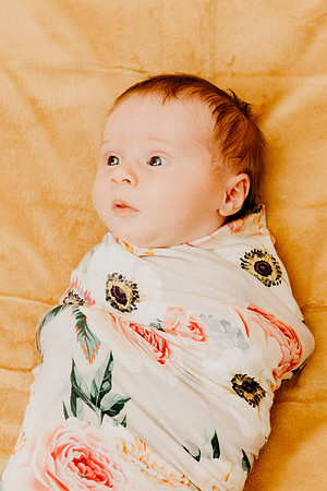 Evie-1447-2