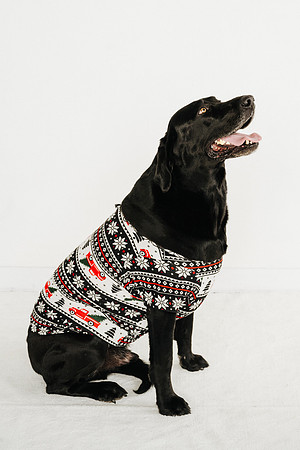 Pajamas24-9556