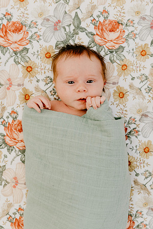 Evie-1435