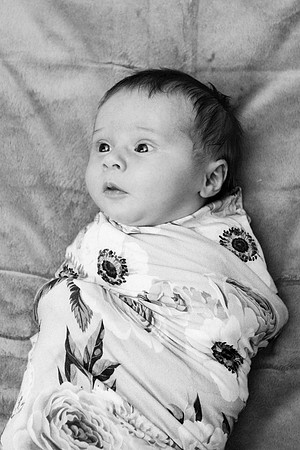 Evie-1447