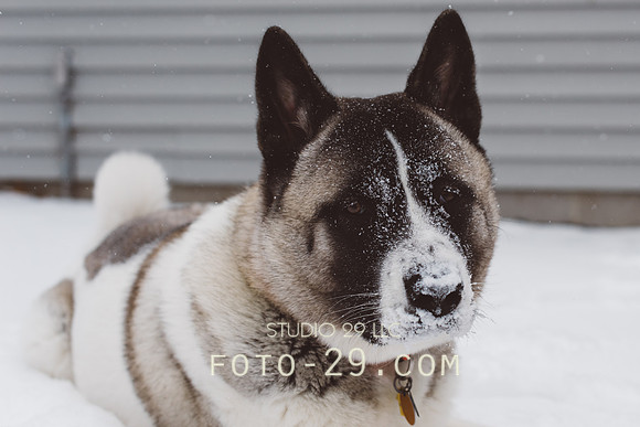 KenzoSnow150104-4