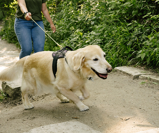 OffLeash2024-0467